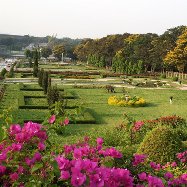COORG WITH MYSORE SPECIAL TOUR.jpg